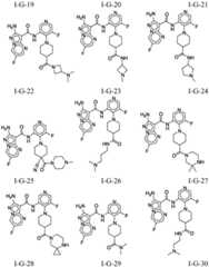 Figure FDA0002307903110000251