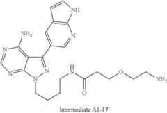 Figure US11364300-20220621-C00792