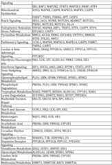 Figure imgf000141_0001