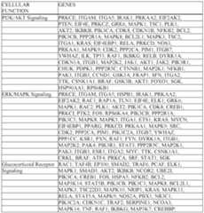 Figure imgf000446_0001