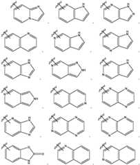 Figure BDA0002911816760000492