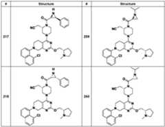 Figure imgf000080_0001