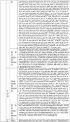 Figure BDA0004033970230007141