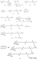 Figure BDA0003018192690003981