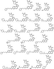 Figure FDA0003480931620000081