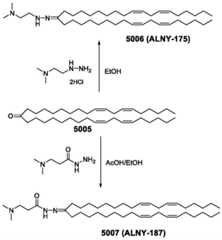 Figure BDA0002627493280001191