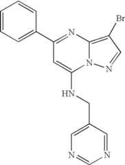 Figure US07119200-20061010-C01459