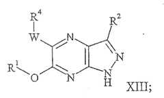 Figure 112006060811736-pct00014