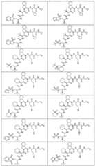 Figure imgf000345_0001