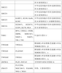 Figure BDA0001878096640000931