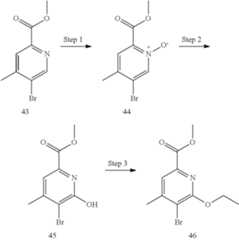 Figure US11446287-20220920-C00087