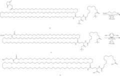 Figure US11185570-20211130-C00027