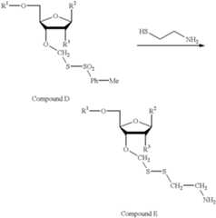 Figure US06309836-20011030-C00010
