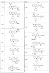 Figure 112009054559348-PCT00041