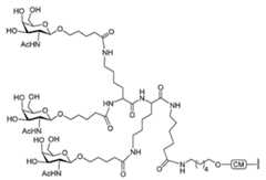 Figure 2023113843000215