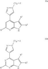 Figure US08541425-20130924-C00024