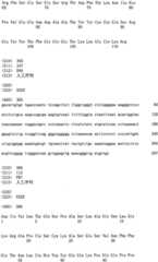 Figure RE-ISB0000195685460001371