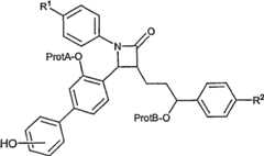 Figure S2006800249696C00161
