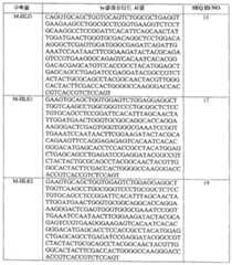 Figure 112007076532217-PCT00011