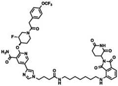 Figure BDA0002964098100002271