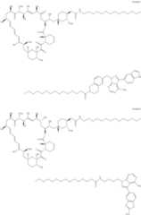 Figure US11364300-20220621-C00325