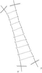 Figure US12338436-20250624-C00040