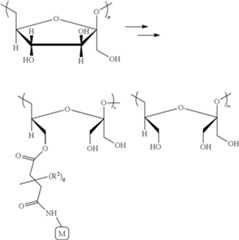 Figure US08101164-20120124-C00039