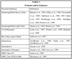 Figure imgf000020_0001