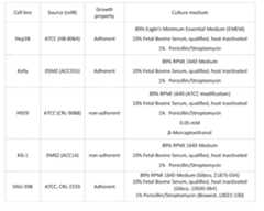 Figure imgf000097_0001