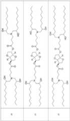 Figure imgf000078_0001