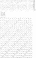 Figure IDA00002091897102011