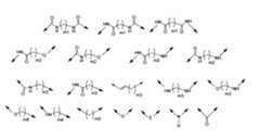 Figure JPOXMLDOC01-appb-C000031
