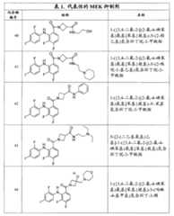 Figure G2007800513551D01041