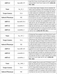 Figure imgf000171_0001