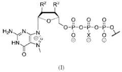 Figure imgf000062_0001
