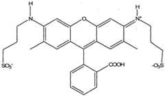 Figure imgf000009_0001