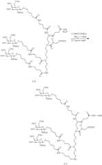 Figure US11660347-20230530-C00108