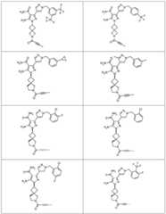 Figure FDA0002673094520000111