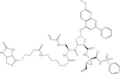 Figure US08309685-20121113-C00597