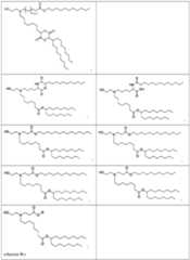 Figure imgf000063_0001