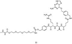 Figure FDF0000007358010000041