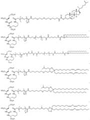 Figure imgf000344_0001