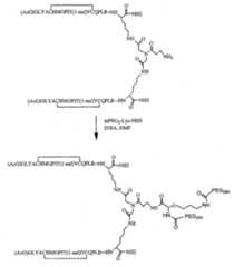 Figure 112005065158015-pct00076