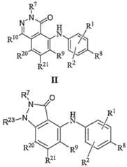 Figure imgf000004_0002