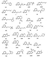 Figure FPA00001280125500081