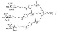 Figure 2023113843000264