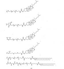 Figure imgf000013_0001