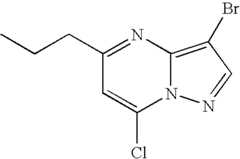 Figure US07119200-20061010-C00915