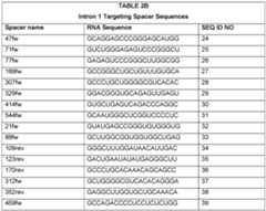Figure imgf000021_0001