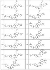 Figure JPOXMLDOC01-appb-T000104